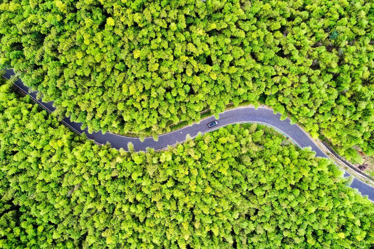 广德竹乡画廊。广德市委宣传部供图