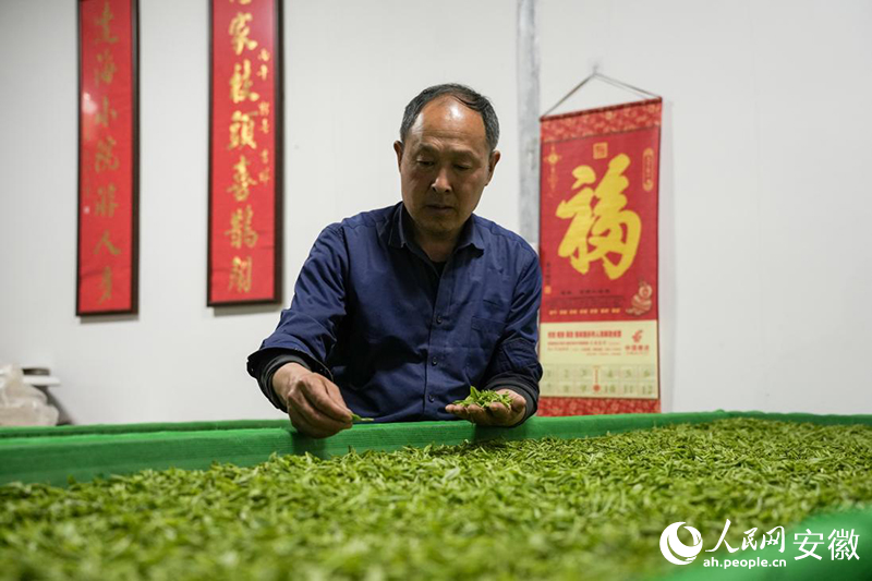 ���ﺣ���ڲ鿴��Ҷ��Ҷ��״̬������������ ������