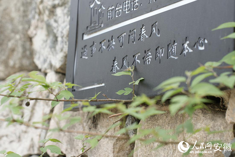 С˵Ԫ�������µ��������洦�ɼ������������� ������