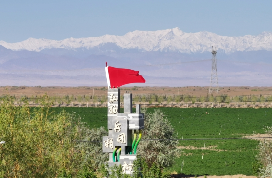 ��ʮ������ɯ�����Զ�����̲�γɶԱȡ���ʮ�����������Ĺ�ͼ