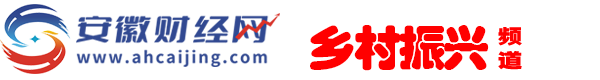 安徽财经网
