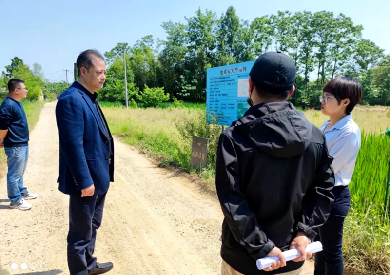 宣城市宣州区法院院长到周王镇督查防汛工作