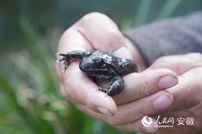 ���������ܡ����������� ��������